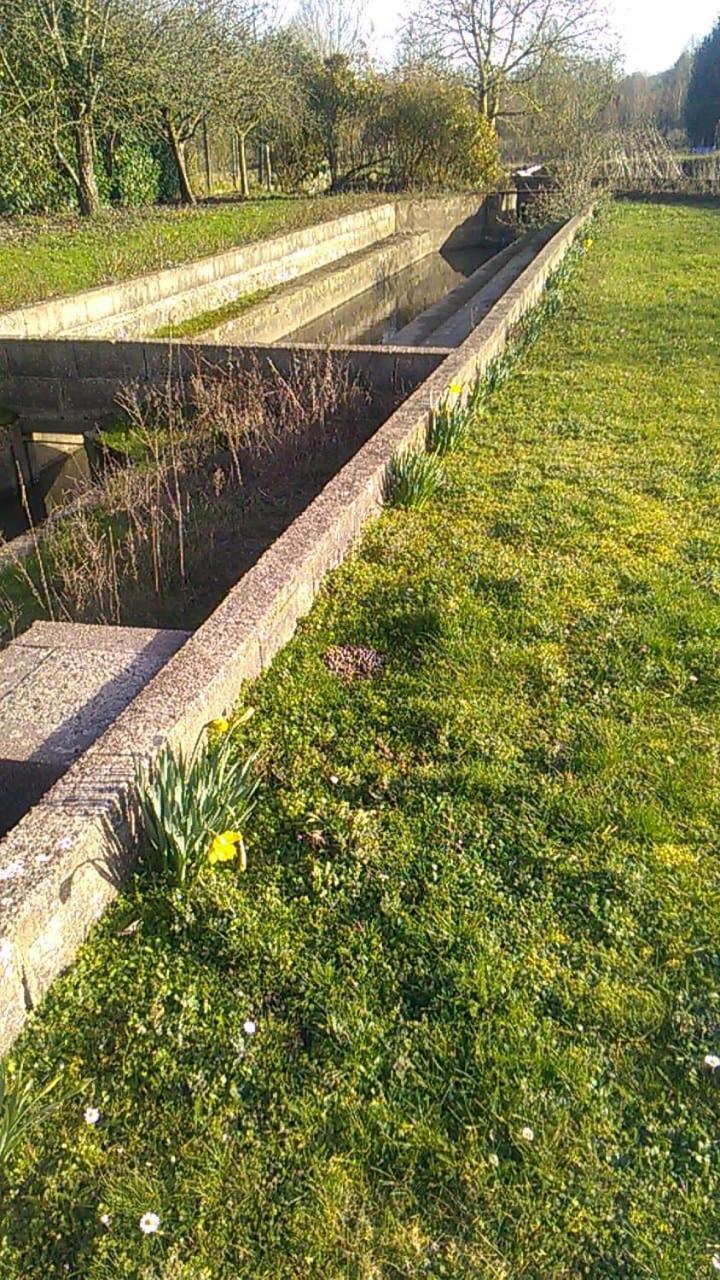 Gite Du Pont De Tancelle Preaux  Bagian luar foto